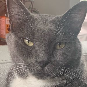 Meet your Posher, Heidi